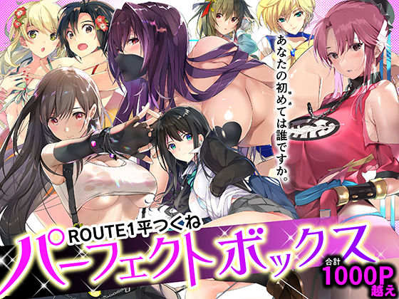 [同人]「ROUTE1 平つくね パーフェクトボックス」(ROUTE1)