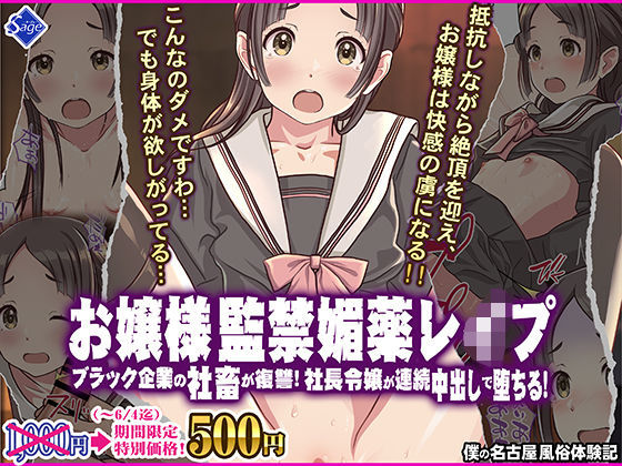 [同人]「お嬢様監禁媚薬レ●プ-ブラック企業の社畜が復讐！社長令嬢が連続中出しで堕ちる！-」(Sage)